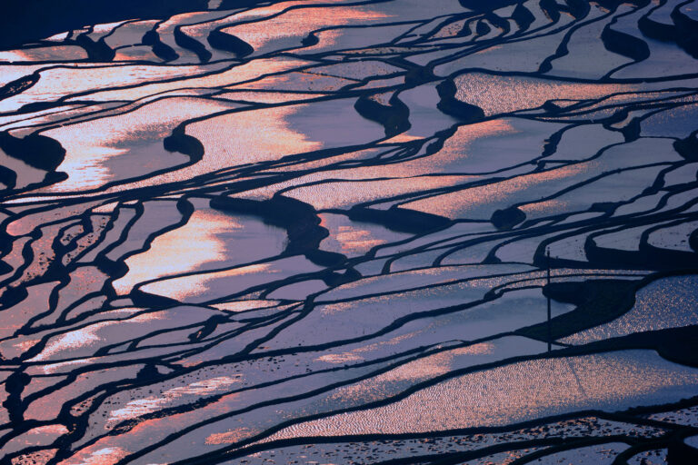 Yang Weiyu - Rhythm-and-composition-6